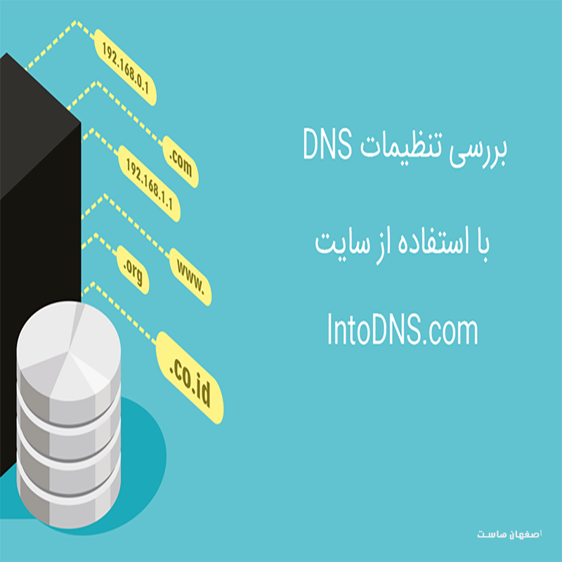 گزارش DNS فوری