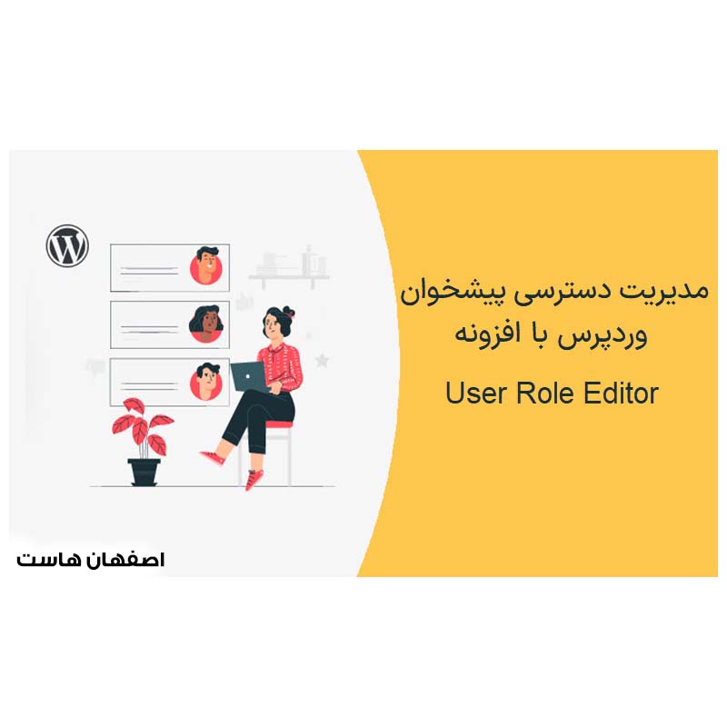 افزونه User Role Editor