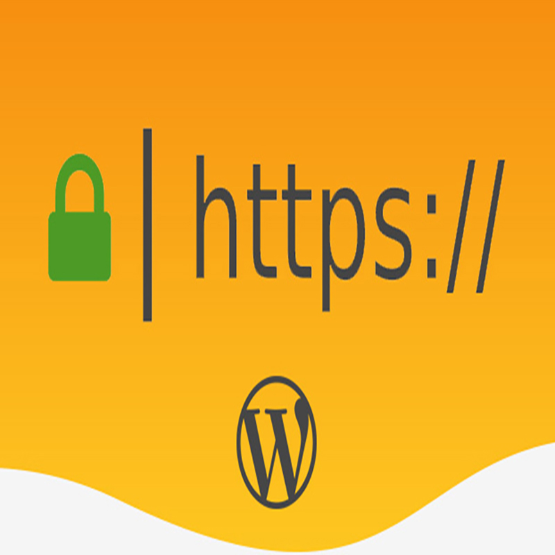 رفع مشکل SSL