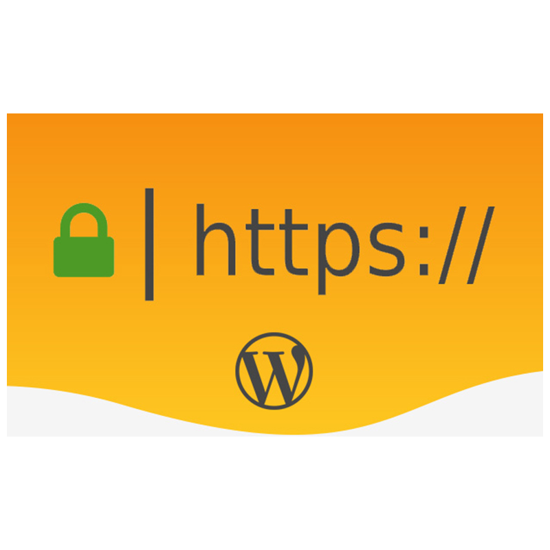 افزونه امنیتی SSL وردپرس