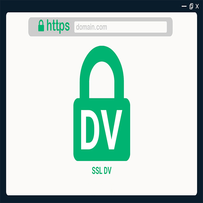 گواهینامه SSL DV