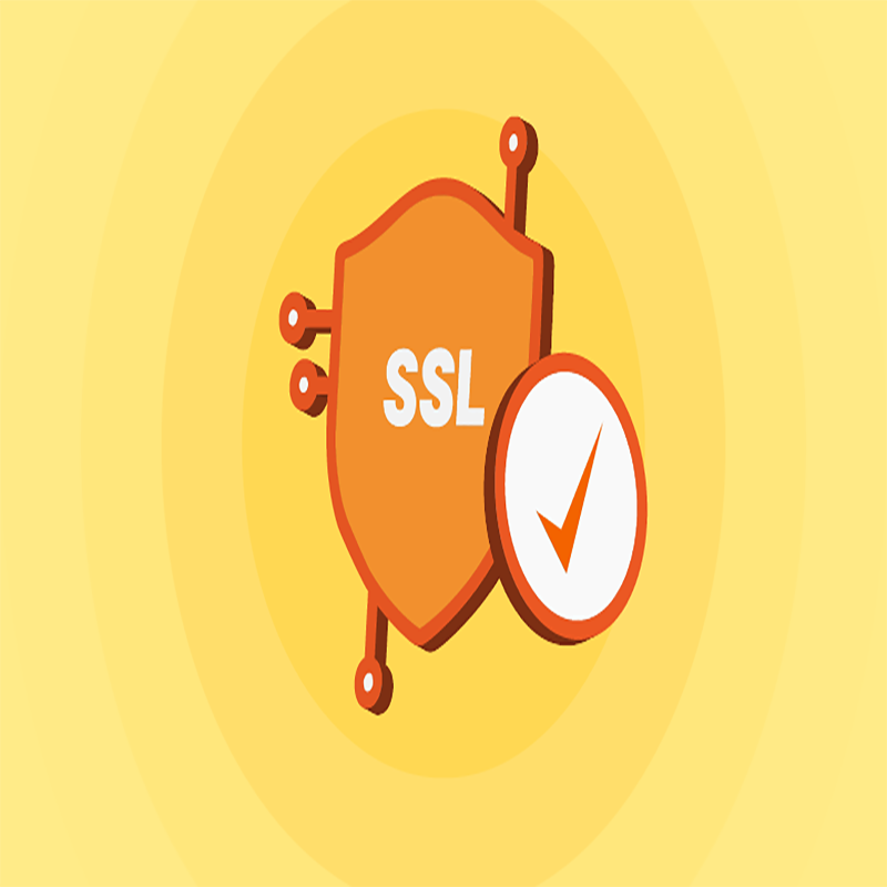 ssl و کاربرد آن